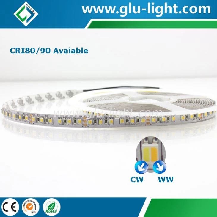 3 års garanti 2 i 1 W/WW 3527 Dual Color Led Srip, 24V 120 LEDs/m 3527 CCT Justerbar Led Strip