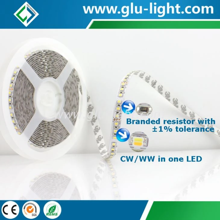 2 in 1 W+WW 3527 dual color led strip, 24V 120 leds/m 3527 CCT adjustable led strip