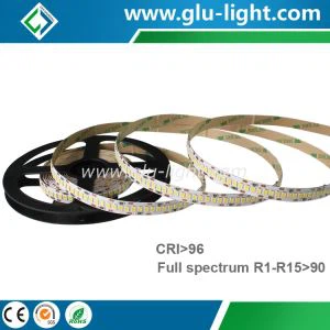 Kina SDCM Mindre end eller lig med 3 Full Spectrum＞90 R1-R15 Over 90 Ra97 2835 Biflex Color Led Strip